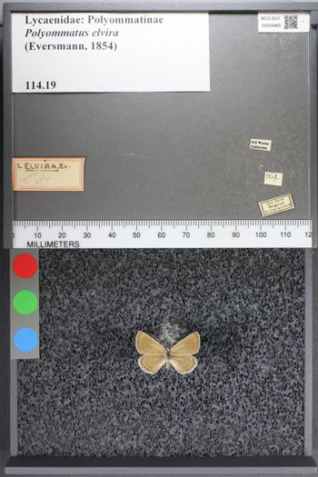 Media type: image;   Entomology 54465